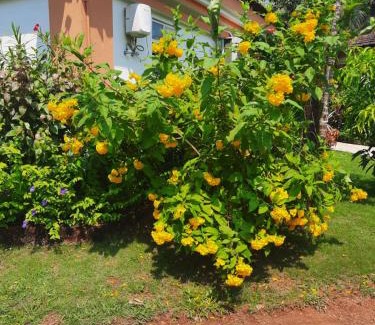Cavelossim Villa | Villa Sunflower