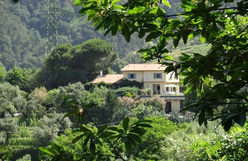 Carrara Villa | Villa surrounded by vines with swimming-pool and panoramic views