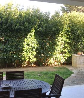 Brindisi Bed & Breakfast | Villa Susanna B E B