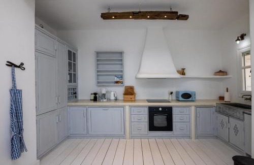 Exomvourgo Villa | Villa Tanaos in Tinos