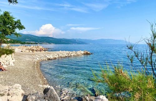 Donji Zagon Villa | Villa Theresa