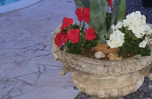 Alberobello Villa | "VILLA TINA" - VILLA AND TRULLI AMONG ALMOND AND OLIVE TREES - SWIMMING POOL - CONVENIENT TO SERVICES