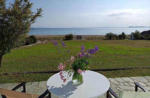 Aristotelis Villa | Villa Totti