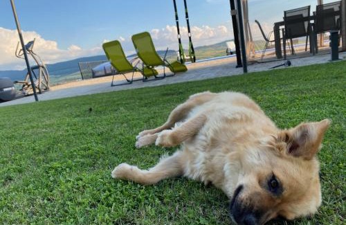 Sieu Villa | Villa Transylvania