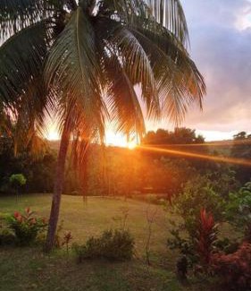 Gros-Morne Apartment | Villa tropicale charmant T2 dans un cadre verdoyant