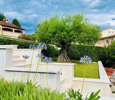Musalez Apartment | Villa Ulivo Apartments