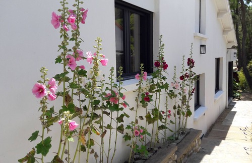 La Tranche-sur-Mer House | Villa under the pines, 3 minutes walk from the beach and shops.