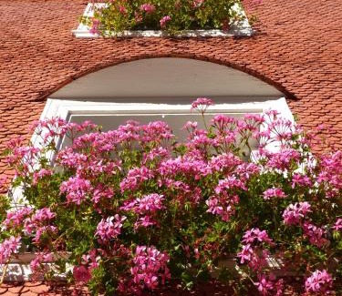 Villabassa House | Villa Vidal