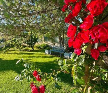 La Plaine des Cafres Villa | Villa Volcanik
