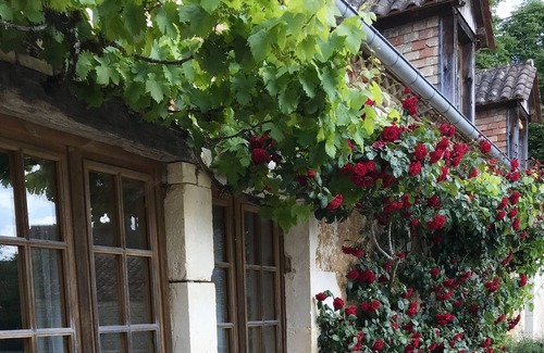 Savignac-les-Eglises Villa | Villa With Private Pool With View On Walnut Grove And Woods