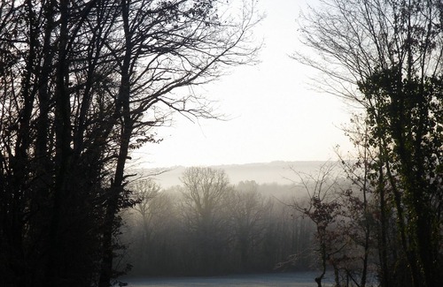 Savignac-les-Eglises Villa | Villa With Private Pool With View On Walnut Grove And Woods