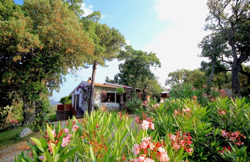 Naregno Villa | Villa with large garden, private pool and private tennis court, pet friendly