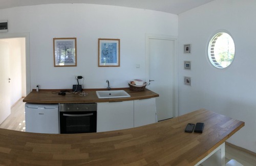 Shabla Villa | Villa with Private Pool and over 3000 m2 Wineyards & Garden