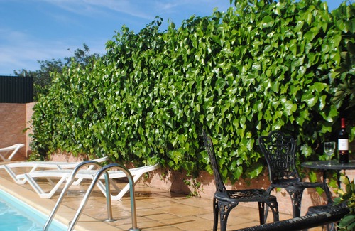 Vale de Seixos Villa | Villa with private pool