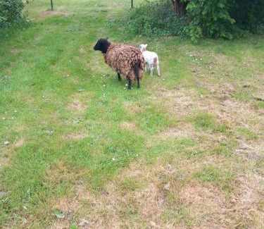 Baudres House | Village home