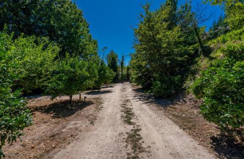 Fareja House | Villas Prendal Eco Living - Minho's Guest