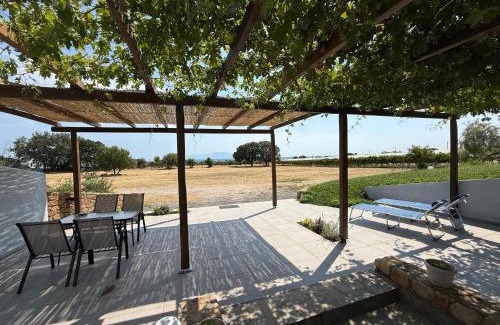 Alexandroupoli Apartment | Vines horizon