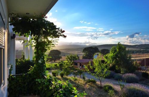 Alexandroupoli Villa | Vineyard Country House with Panoramic Seaview