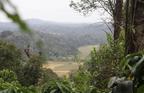 Madikeri House | vintage Pearl Estate Stay