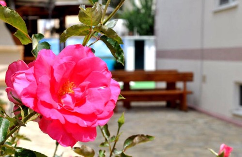 Vityazevo House | VintaGe