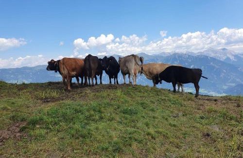 Urmein Bed & Breakfast | ViVa B&B Urmein