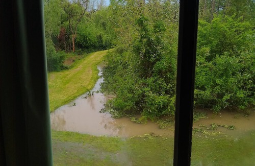 Partido de Tigre Cabin | Viva el Delta