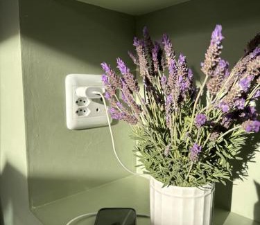 Schoemanshoek Apartment | Vogelsang Loft