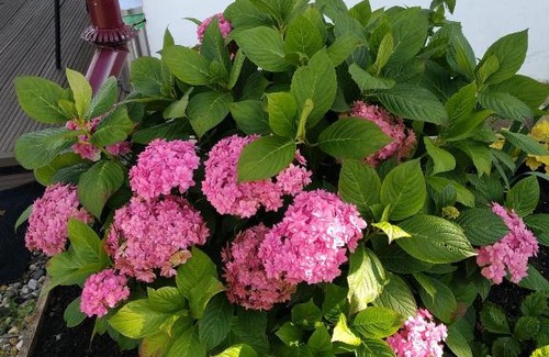 Plyos House | Voskresenskaya Dacha