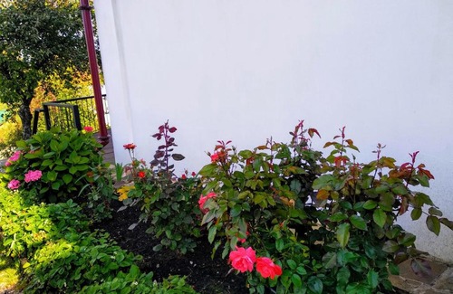 Plyos House | Voskresenskaya Dacha