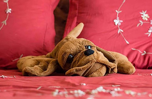 Washington Park House | Voted Atlanta's Best. Walk to the Park! Convenient to downtown