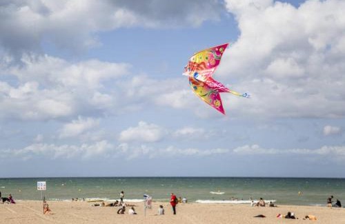 Merville-Franceville-Plage Apartment | Votre Havre de Paix à Merville proche de la Mer - FR-1-788-82