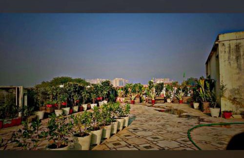 Taj Ganj Bed & Breakfast | Voyageurs Homestay