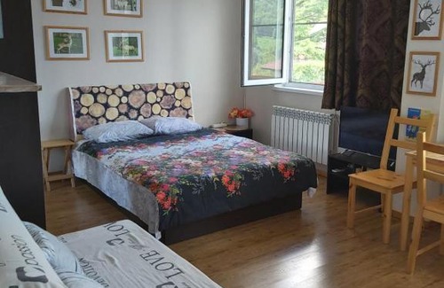 Krasnaya Polyana Apartment | Voznesenskaya 24