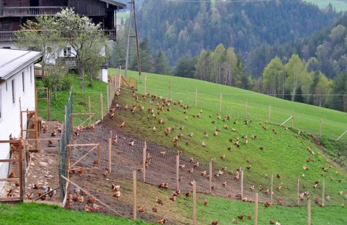 Steinberg am Rofan Apartment | Vrbo Property