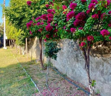 Udaipur Hotel | Vrindavan Greens Resort
