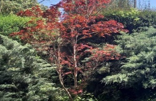 Le Cannet Apartment | Vue Baie Cannes Parking Piscine