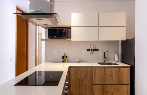 Zona Rosa Apartment | w* | Amazing 2BR in Chico
