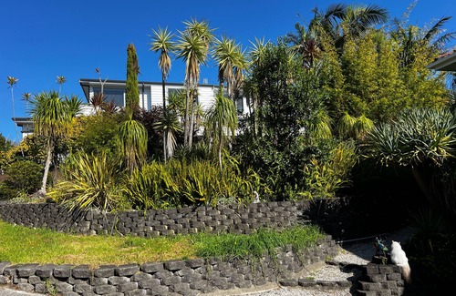 Torbay Apartment | Waiake Beach Apartments