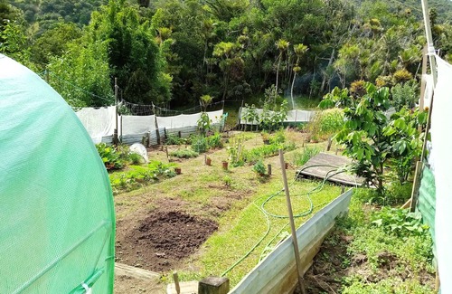 Opononi House | Waiotemarama Falls Lodge - private holiday home