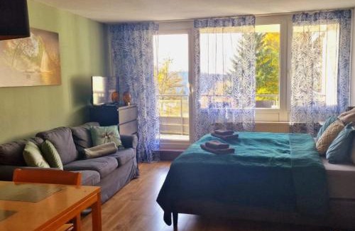 Sankt Englmar Apartment | Wald Apartments im Predigtstuhl Resort