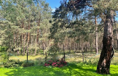 Briesensee House | Waldhaus am See