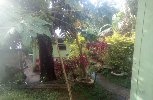 Wotten Waven Cabin | Wale's Yard, Breadfruit Tree Room, clean and comfortable