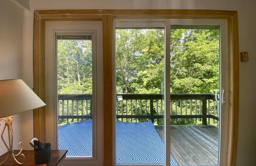 Beech Mountain Apartment | Walk to Biking Trails! Pet Friendly! Hike & Wine!