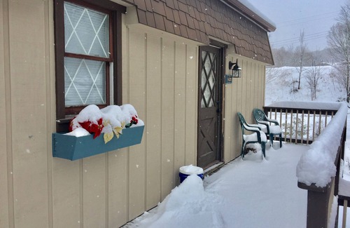 Beech Mountain Apartment | Walk to Biking Trails! Pet Friendly! Hike & Wine!
