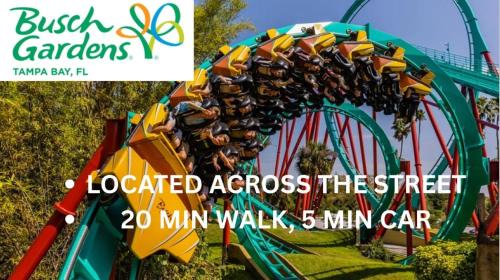 Temple Crest House | Walk to Busch Gardens, Games, Plush Sheets, Huge Yard!