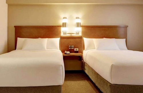 Tucson House | Walking in Saguaro National Park! Pet-friendly, Parking, Pool, Airport Shuttle!