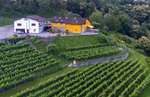 Giubiasco Apartment | Walnut apartment surrounded by greenery