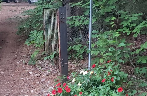 Madawaska Valley Cottage | Wandas cozy duplex cabin