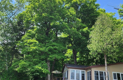 Dongola Cottage | Waterfront beautiful cottage (4 bedrooms)on Shadow lake