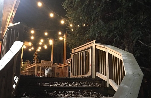 Lansdowne Cottage | Waterfront Luxury Cottage for 8 with Private Hot Tub & Free Dockage